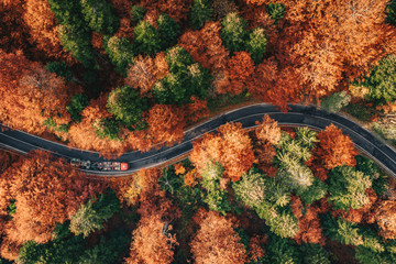 Winding road in the forest in the fall with truck on the road