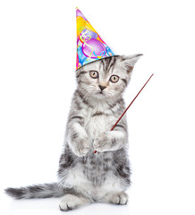 Cute kitten in birthday hat standong on hind legs and holding pointing stick. isolated on white background