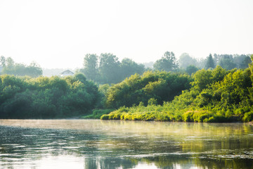 Morning on the calm river with forest on their bank