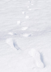 Snow white texture winter background of fresh cold ice with footprint trail of traveller hiker hiking on snowy icy surface pattern of chill snowflake in freezing weather climate season