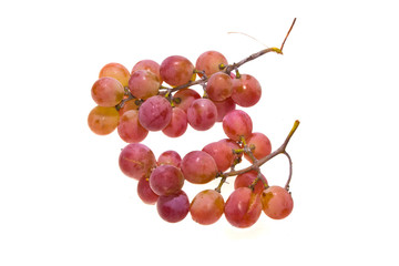 Obraz premium grapes isolated on white background