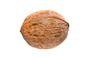 nut isolated on white background