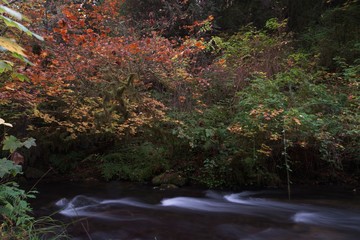 Long exposure photographs of rolling river with fall foliage
