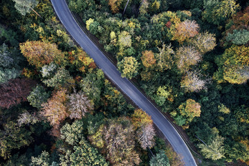 street between autumn forest aerial drone view from above, dji