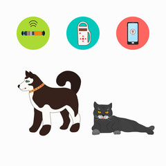 Pet services - set of vector icons, pictograms. Vector cartoon illustration.