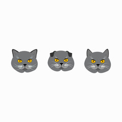 Collection of british cats illustrations, icons, avatars set. Flat design. Isolated vector illustration.