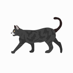 Cute cat breed British Shorthair icon for web and mobile design isolated on white background. Vector illustration.