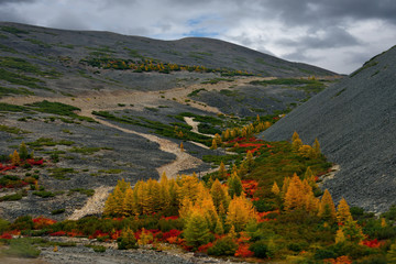 Naklejka premium Russia. Magadan. The amazing beauty of the autumn of the Far East. 