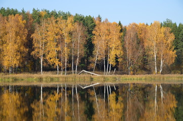 Autumn landscape beautiful colored trees over the river