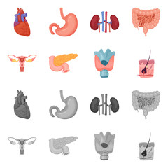 Isolated object of body and human sign. Collection of body and medical stock vector illustration.