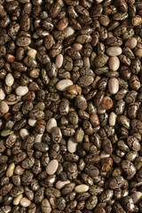 Chia Samen Makro dunkler