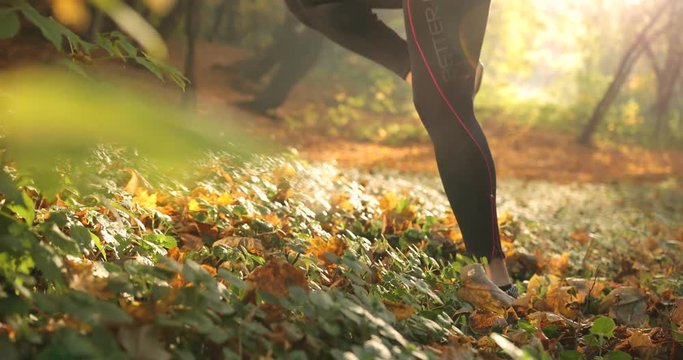 Female runner in an autumn park. Close-up of woman's legs in jogging suit and snickers running on the fallen leaves in a park