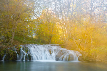 A foggy waterfall in sunny autumn leaves