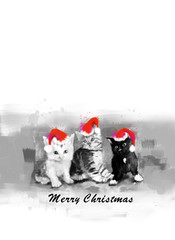 Merry Christmas Katzen - 229591359