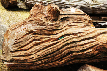 rope on wooden background.
