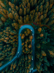 A curving road, passing through an alpine forest of pine trees - aerial photo