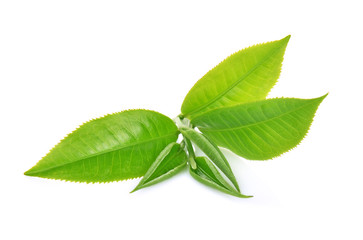 green tea leaf isolated on white background