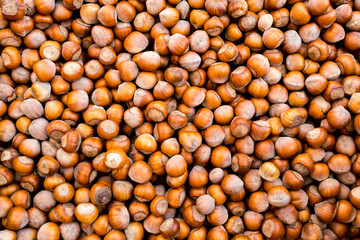 Raw fresh organic hazelnut. In shell nuts. Healthy food on the farmer market