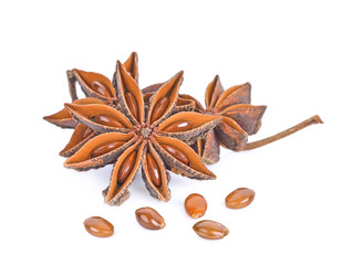 Star anise spice fruits and seeds isolated on white background
