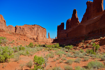 Beautiful nature including rocks,trees and sky in the Arches national park