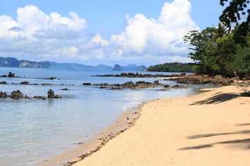 beach and sea.