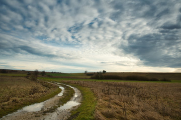 Fototapeta premium Feldweg mit Pfützen im Herbst