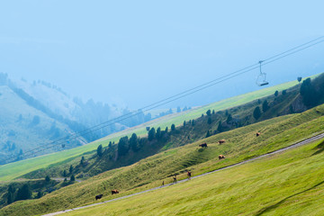 The cable car, climbing to Seceda, Dolomites