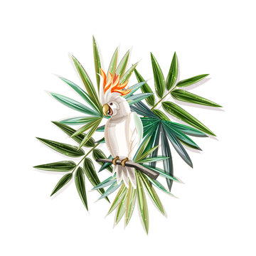 Тropical plants with cockatoo.
