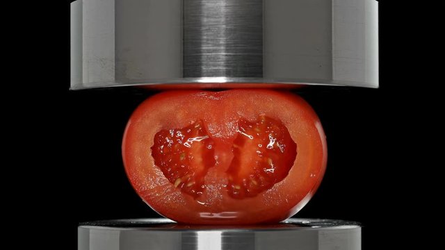 tomato sectioned under a hydraulic press, close-up