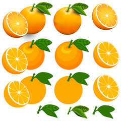 Fototapeta na wymiar Oranges isolated on white with clipping path.