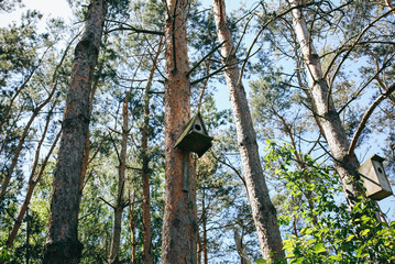 Nesting boxes hanging outdoors in the forest. Handmade wooden bird houses on the trees. Environmental protection and care concept.