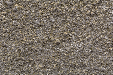Concrete wall texture background. Texture wall bark beetle. Painted textural wall. Effect of beetle.