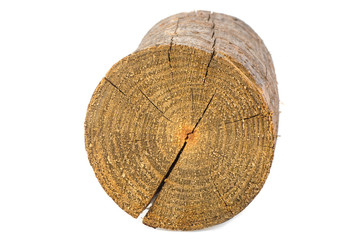 round wooden log isolated on white background