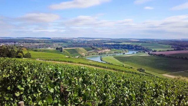 Panoramic landscape with vineyards. Eifel, Germany