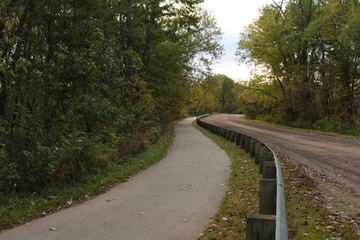 Obraz premium Winding Paved Walking Trail in Green Forest Next To Brown Gravel Road