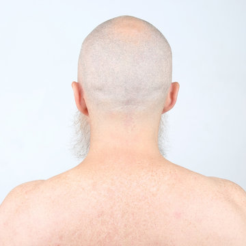 portrait of bald man with beard from back on light background