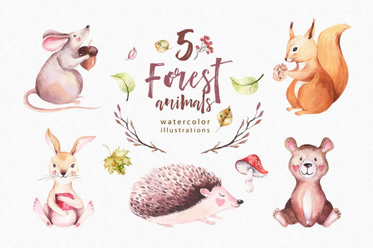 Cute baby animal nursery mouse, rabbit and bear isolated illustration for children. Watercolor boho forest drawing squirrel, watercolour, hedgehog image Perfect for nursery posters, patterns