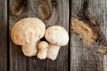 Fototapeta premium Fresh forest picking mushrooms. Raw white mushrooms on wooden table