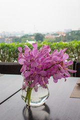 Beautiful Orchids in Vase of Glass