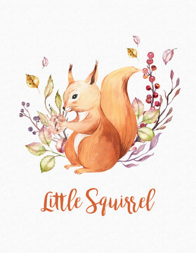 Cute baby animal nursery isolated illustration for children. Watercolor boho forest drawing squirrel forest image Perfect for nursery posters, patterns