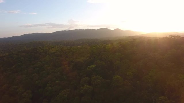 Rain forest landscape with sunset by drone. Guiana Amazonian Park Saul