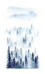 Watercolor winter landscape of a forest in fog. Spruces isolated on white background