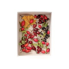 Wild rose berries  and autumn leaves on white background