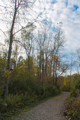 Fototapeta premium Rustic Wooden Birdhouse Along a Gravel Hiking Trail in a Green and Yellow Autumn Woods Under Cloudy Blue Sky