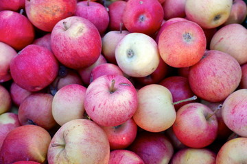 pile of red apples
