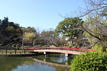公園の池