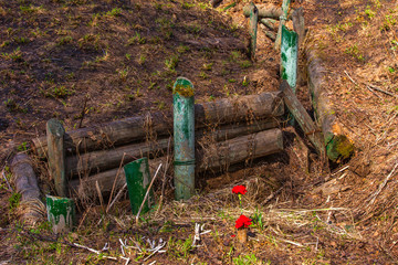 The deep trenches of the Second World War fortified with wood, red carnations in memory of the victims. Military trenches near the city of Volokolamsk at Dubosekovo junction, Moscow Region, Russia.