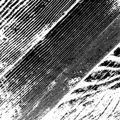 Wooden Overlay Texture