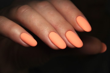 Beautiful nail design on female hands on background