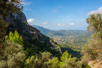 Naklejka premium Urlaub, Mallorca, Palmen, Bananen, Wandern, Katze, Kitty, Tiere, Früchte